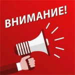 изображение_viber_2024-08-21_12-22-41-087