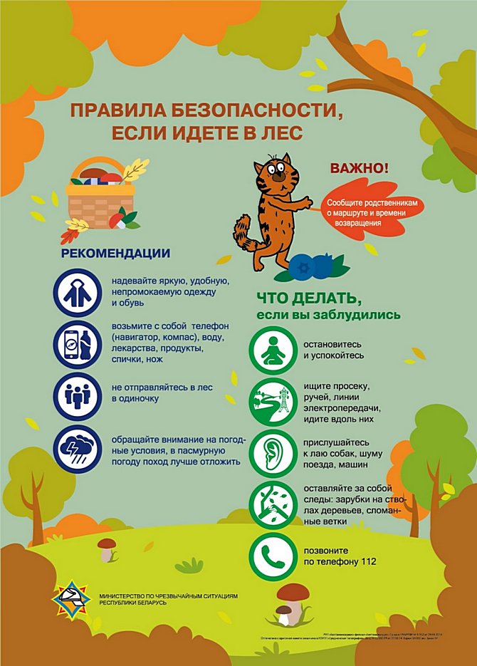изображение_viber_2025-05-20_11-26-37-459