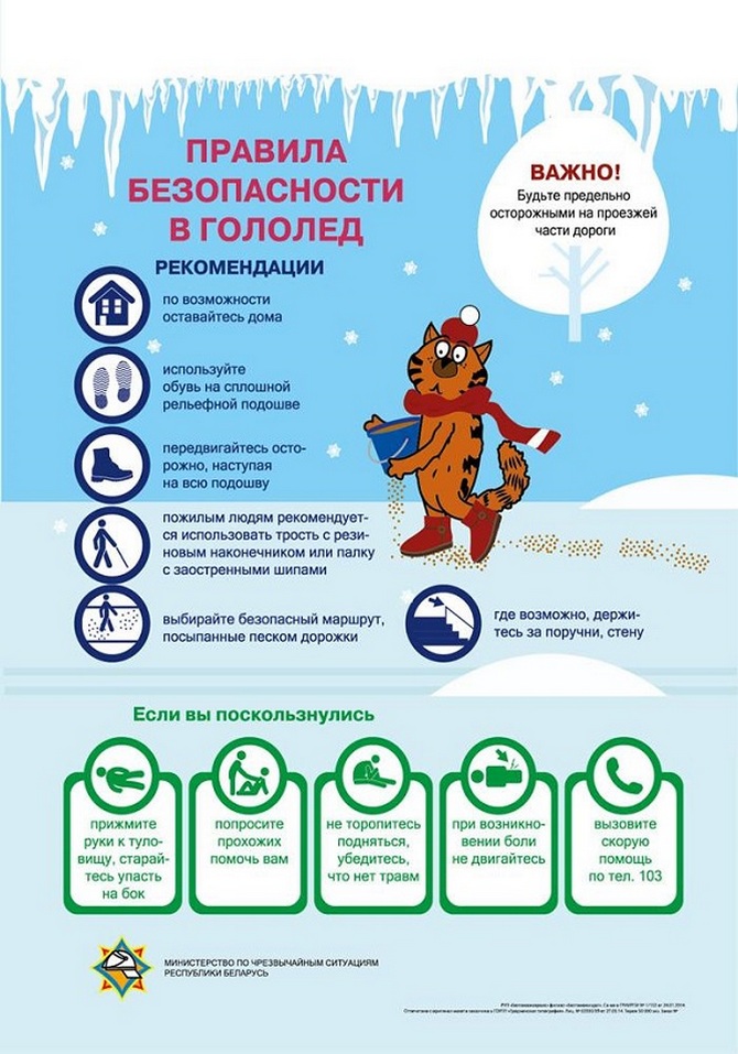 изображение_viber_2025-11-19_23-06-48-451