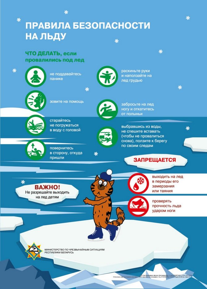 изображение_viber_2025-11-19_23-06-48-457