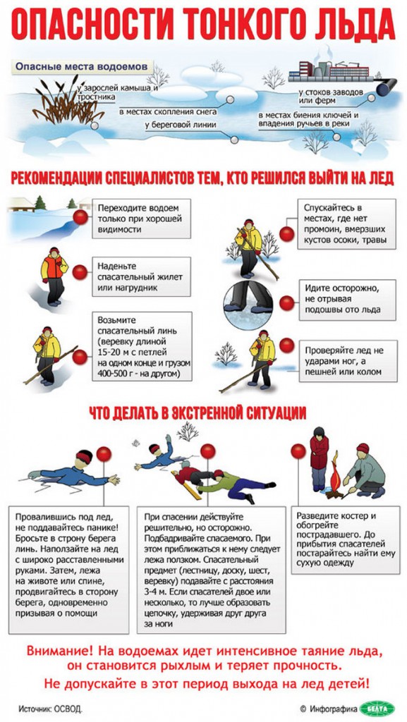 изображение_viber_2026-01-13_23-33-08-261