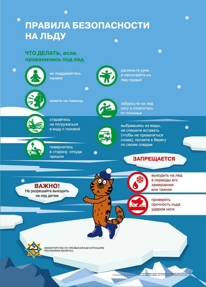 изображение_viber_2026-01-13_23-33-08-299